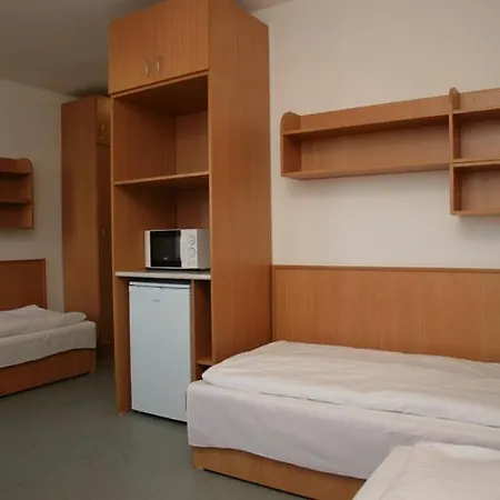 Imola Eger